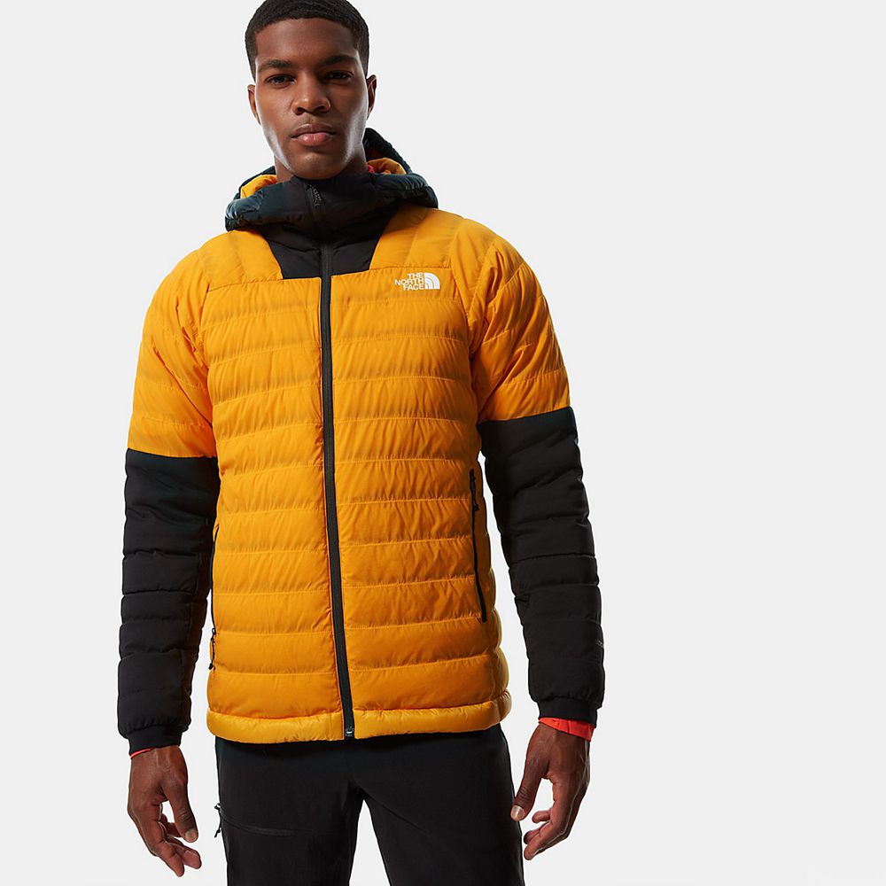 The North Face Winter Jacket Mens Australia - The North Face Summit Series™ L3 50/50 Hooded Gold / B